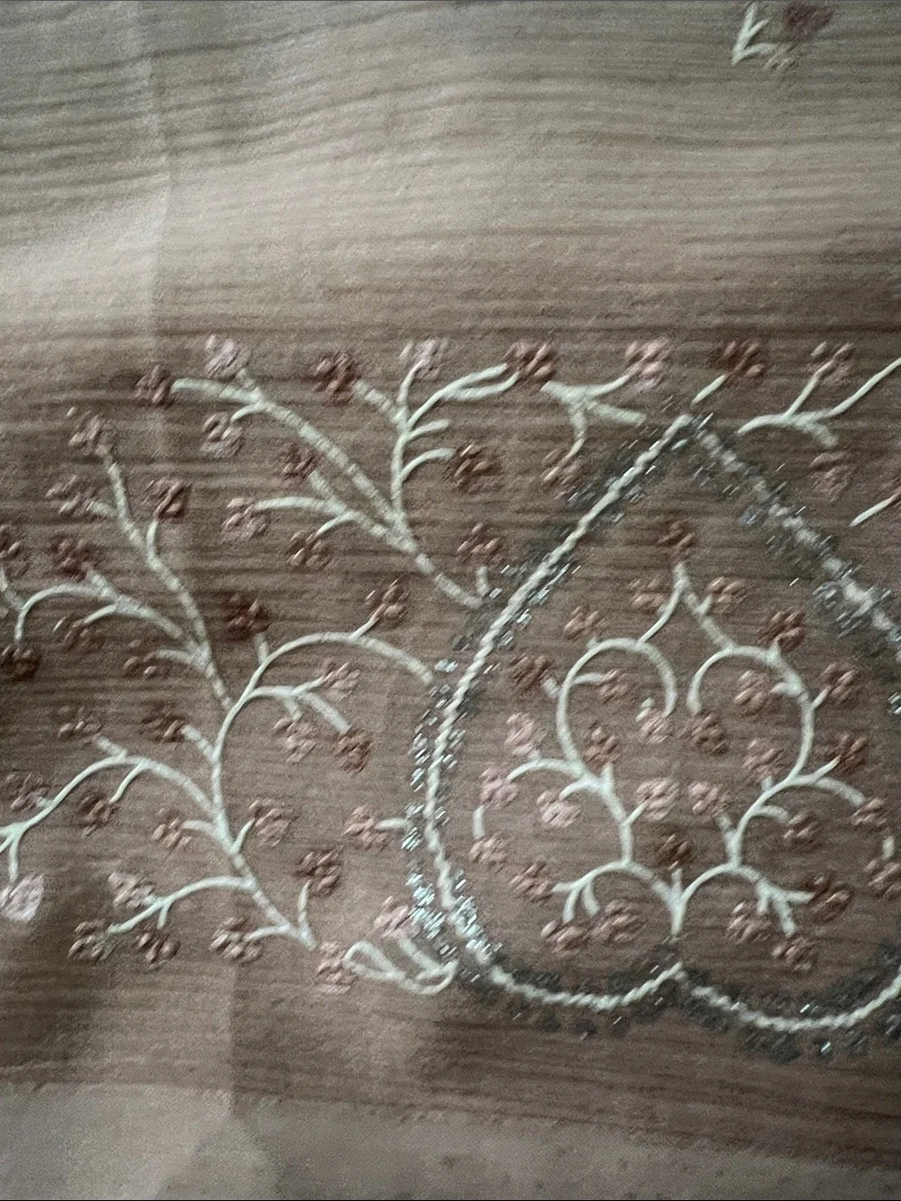 Embroidered Ombre Sheer Scarf in Blush and Cream